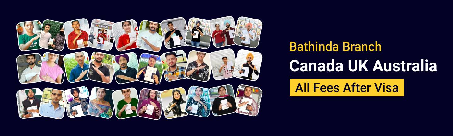 Bathinda Branch Banner Image - Skybird International