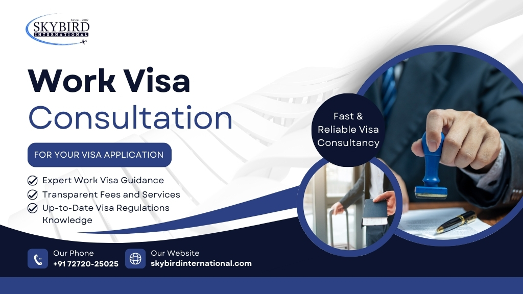 How to Choose the Best Consultant for Your Work Visa Application